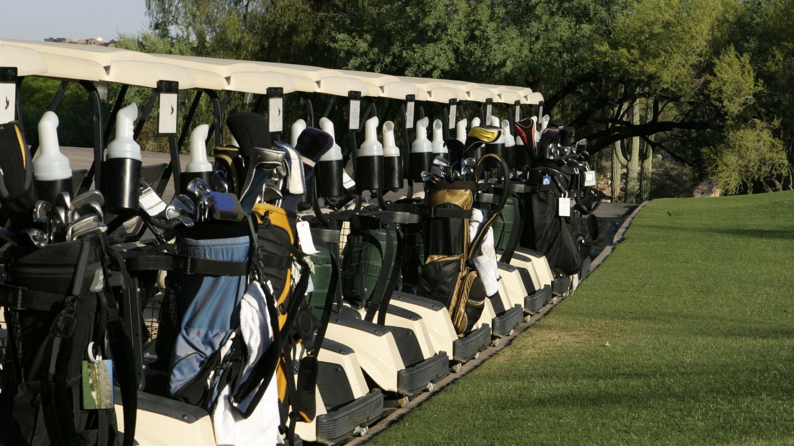 Pros and Cons of Different Golf Bag Materials